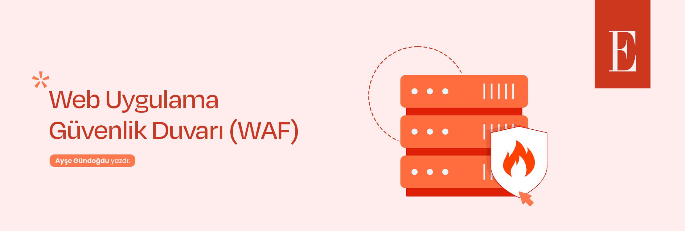 Web Uygulama Güvenlik Duvarı (WAF): Siber dünyanın kalkanı ve Türkiye’nin adaptasyonu