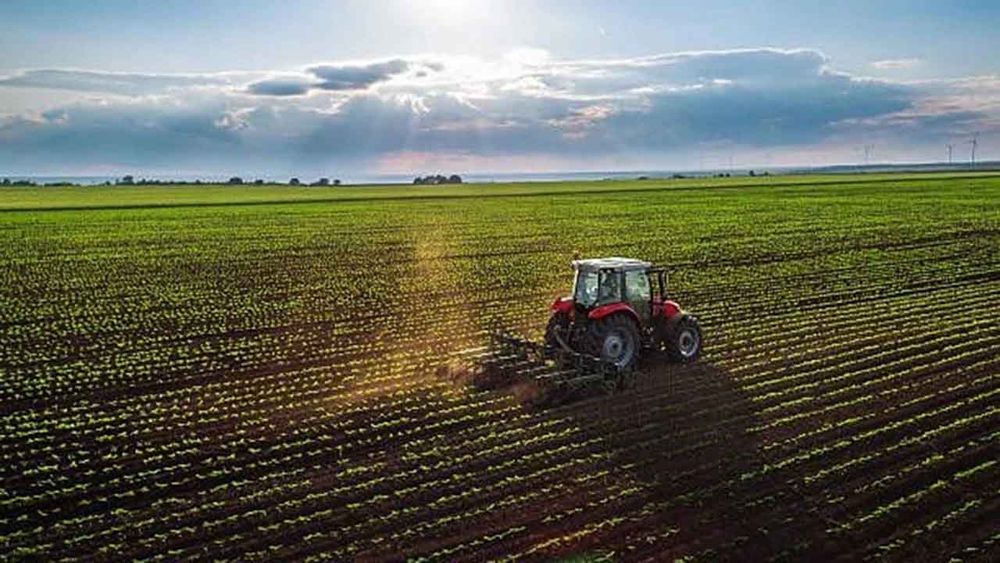 2025 Yılı Çiftçi Kayıt Sistemi (ÇKS) Başvuruları 1 Eylül'de Başlıyor