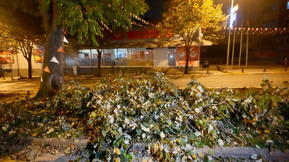 Eyüpsultan sakinleri İBB’ye tepkili: Ağaçlarımız kesiliyor