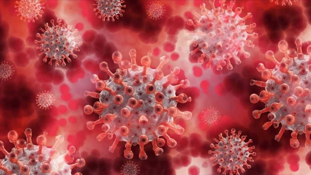 Filipinler'de maymun çiçeği virüsü alarmı
