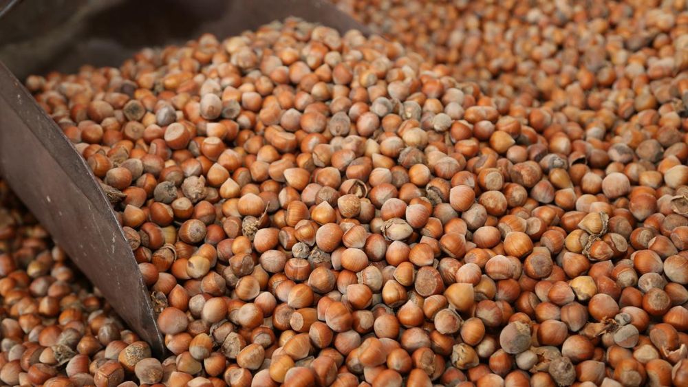 Ticaret Bakanlığı’ndan fındık piyasasına sıkı denetim: Müfettişler görevlendirildi