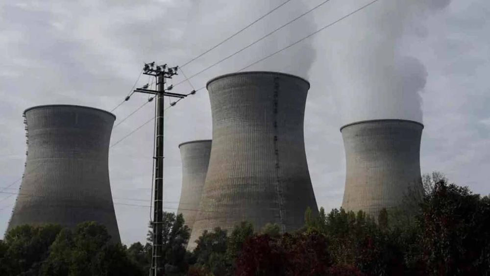 Fransa’da denizanası alarmı: Nükleer santralde üretim durdu