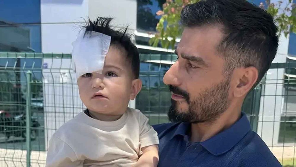 Halfeti’deki köpek saldırısıyla ilgili mülkiye müfettişi görevlendirildi