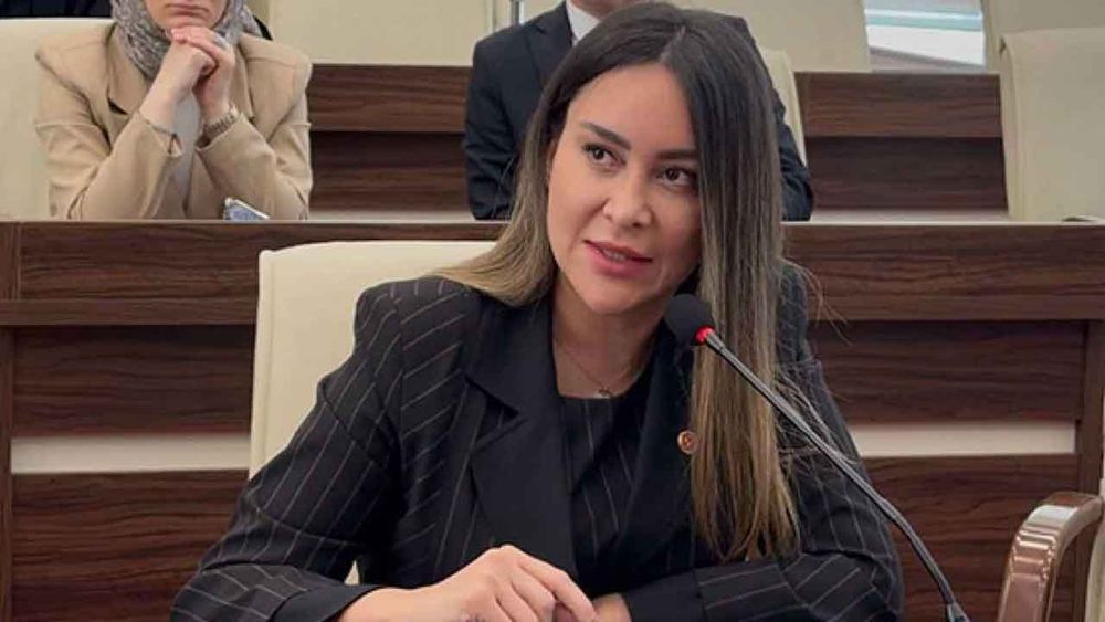 CHP'li Üyesi Hülya Şimşek tutuklandı