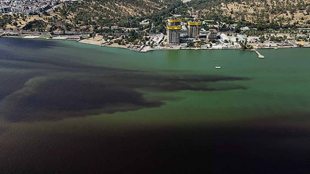 İzmir Körfezi alarm veriyor: CHP’li belediyenin ihmali kirliliği derinleştiriyor
