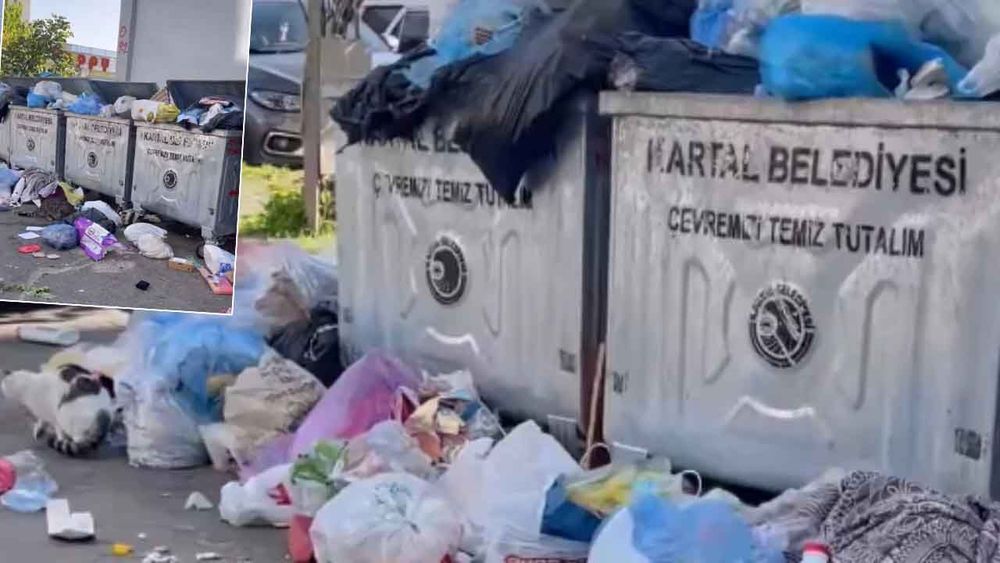 CHP’nin yönettiği Kartal’da çöp yığınları vatandaşı illallah ettirdi