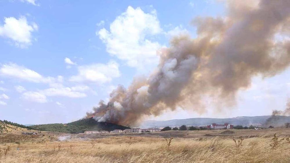Edirne Keşan'da yangın: Alevler tarlaya sıçradı, müdahale sürüyor