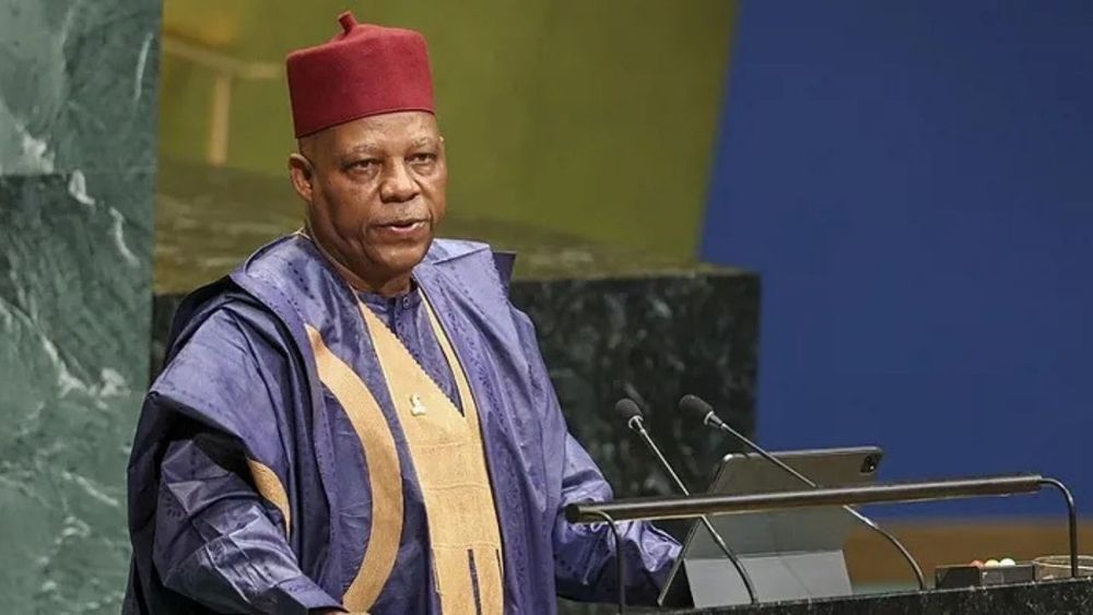 Nijerya Cumhurbaşkanı Yardımcısı Shettima'dan BM düzenine itiraz