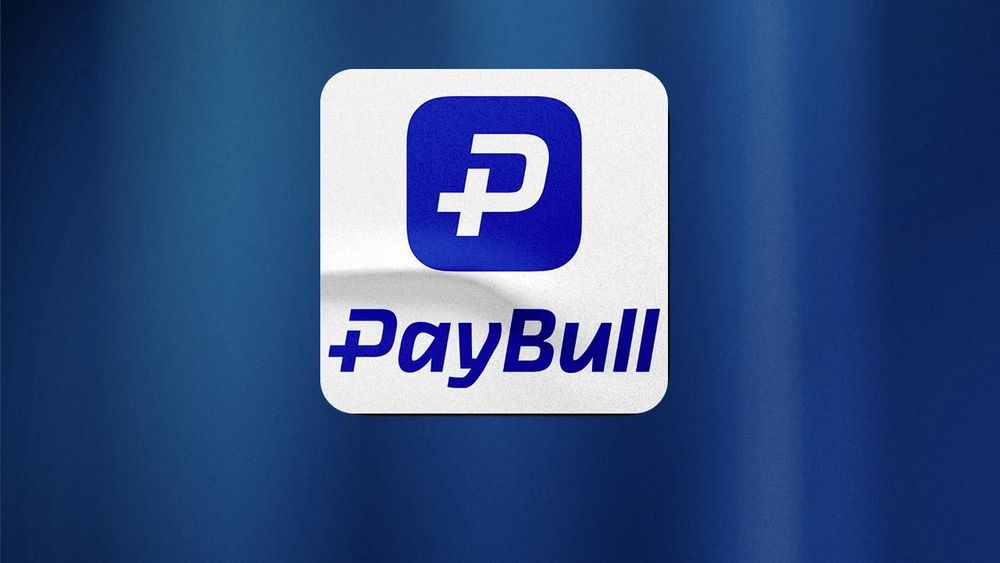 Paybull'a soruşturması: Şirket varlıklarına el konuldu, 25 gözaltı