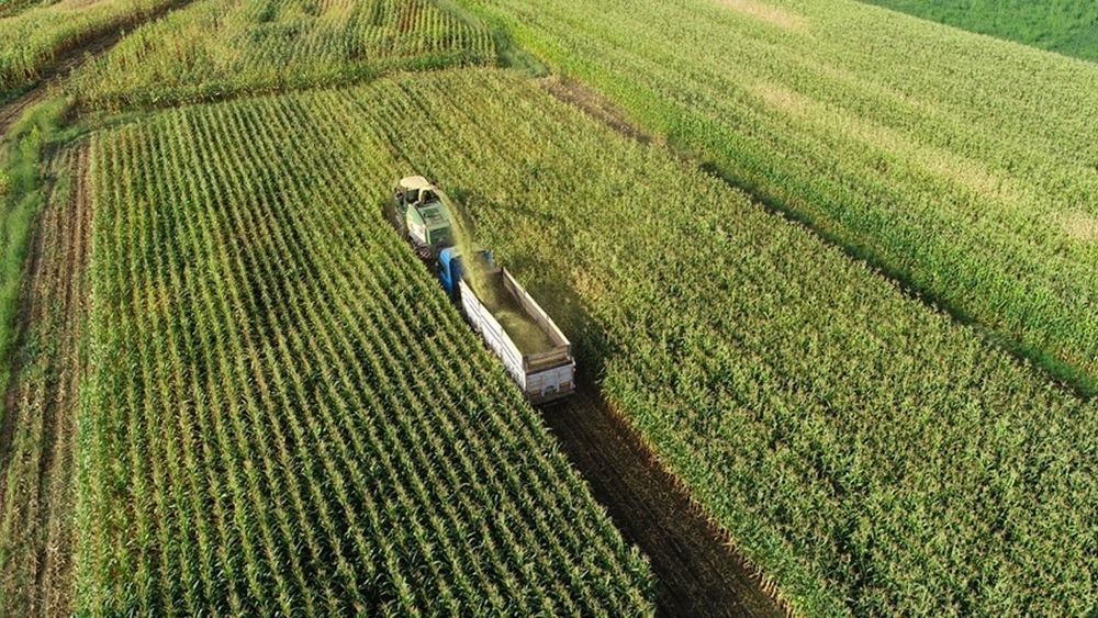 Tarım ÜFE şubatta yıllık yüzde 40,10 arttı