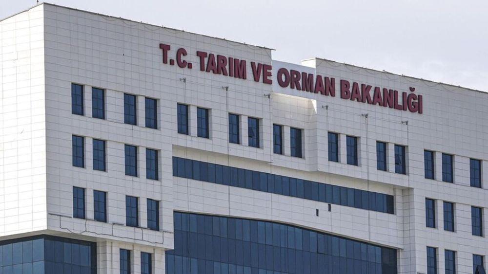 Tarım ve Orman Bakanlığı: Türkiye'de çekirge istilası yok