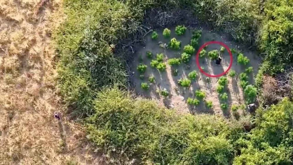 28 ilde uyuşturucu operasyonu: 69 şüpheli tutuklandı