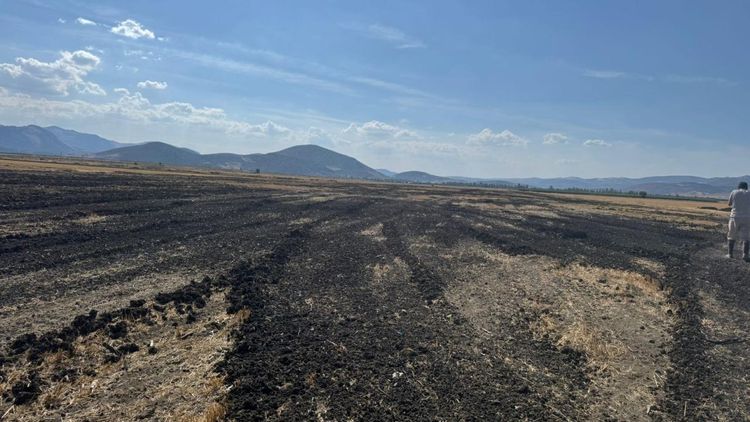 26 kamyon dolusu arıtma çamurunu açık araziye döktüler: 48 milyon liradan fazla ceza kesildi