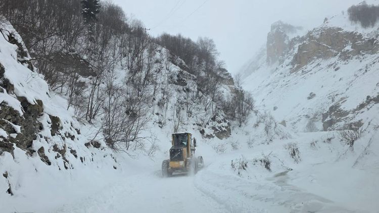 Artvin’de çığ düştü: 3 çoban çığ altında kaldı