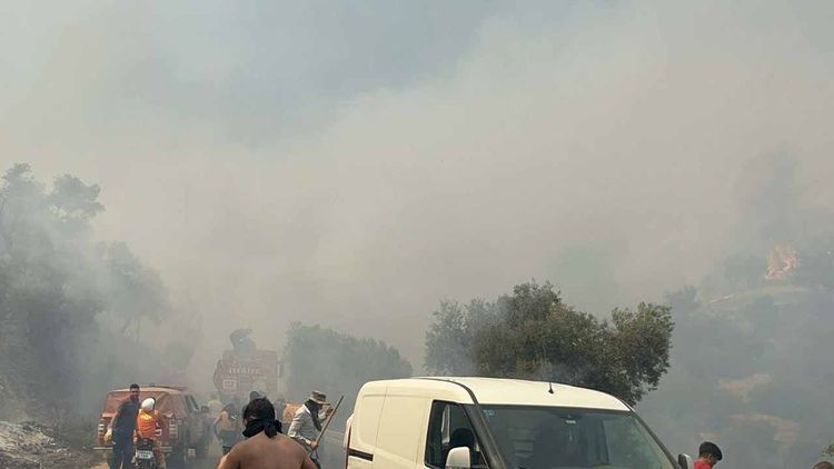 Aydın’da orman yangını: 7 hava aracı ve 244 personel ile alevlere müdahale ediliyor