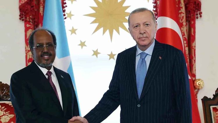Başkan Erdoğan, Somali Cumhurbaşkanı Hasan Şeyh Mahmud ile görüştü