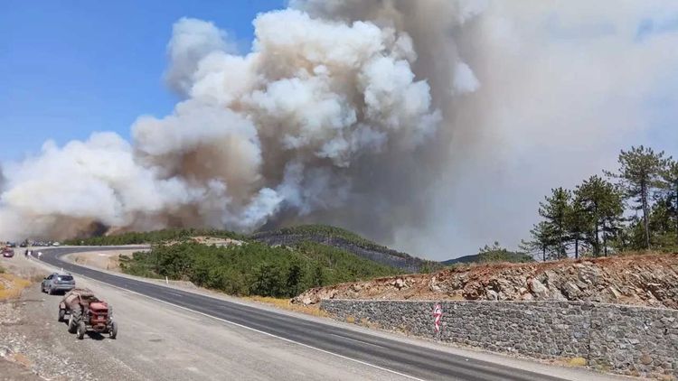 Bursa orman yangını dördüncü gününde: Havadan ve karadan müdahale sürüyor