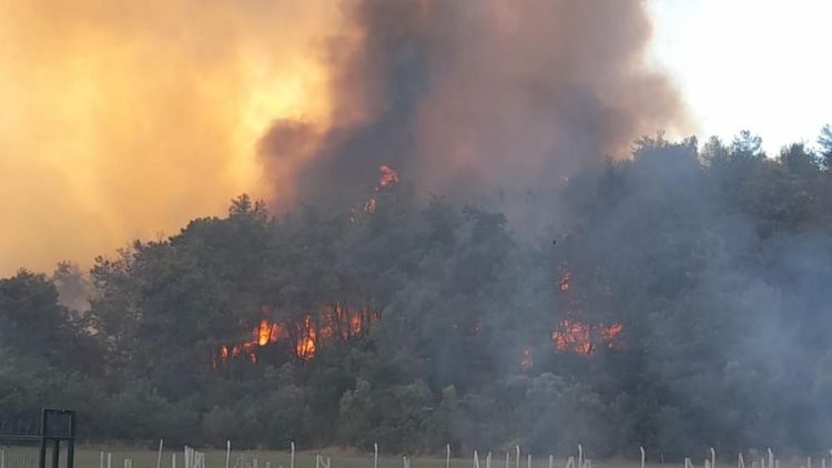 3 ilde orman yangınları kontrol altında, Çanakkale’de müdahale sürüyor