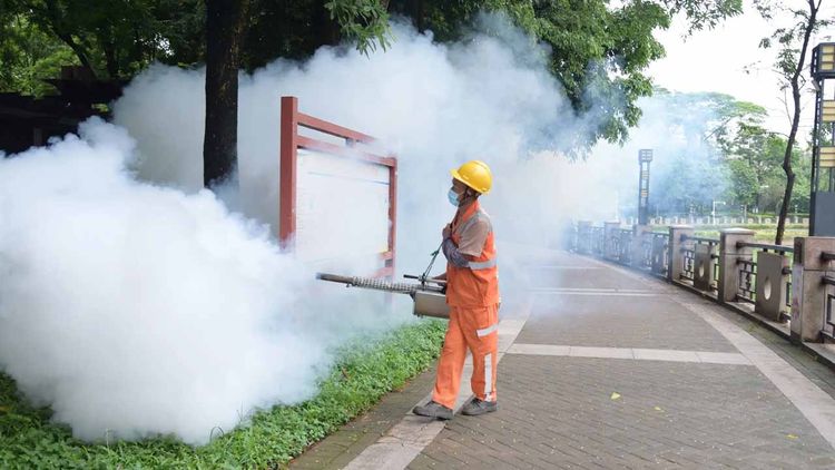 Çin’de sivrisinek kaynaklı chikungunya vakaları 7 bini aştı