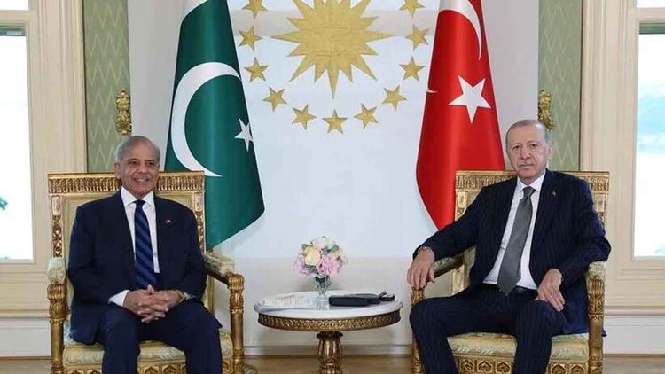 Cumhurbaşkanı Erdoğan, Pakistan Başbakanı Şahbaz Şerif'i görüştü