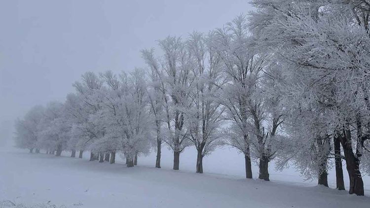 İzlanda kökenli soğuk hava dalgası memleketi dondurdu: En düşük sıcaklık -30,3 derece
