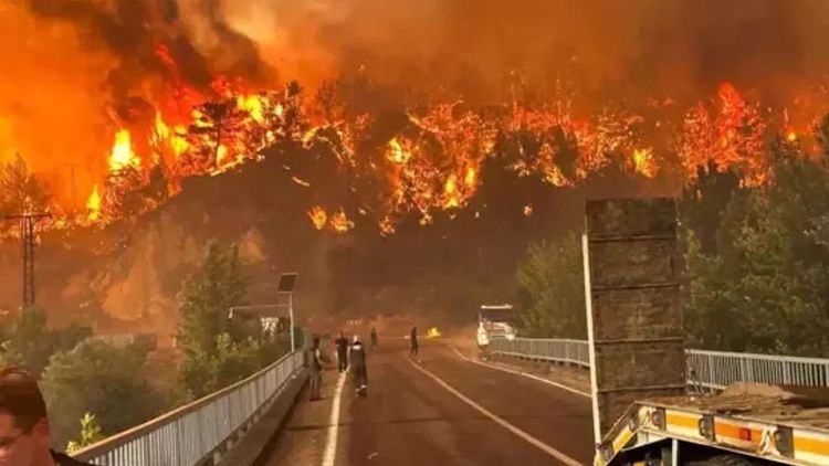 Eskişehir'de orman yangınına müdahale eden 10 kişi şehit oldu