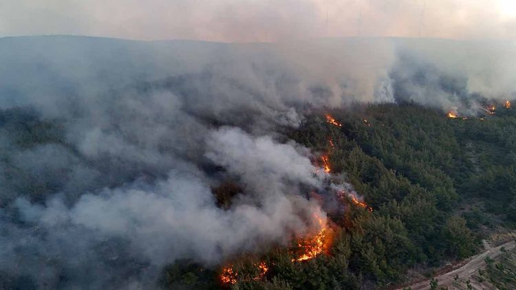 Şarköy’deki yangın Gelibolu'ya sıçradı: Çanakkale-Malkara Otoyolu ulaşıma kapatıldı