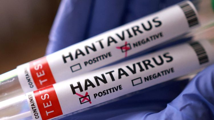 DSÖ: Hantavirüs genel nüfus için düşük risk taşıyor