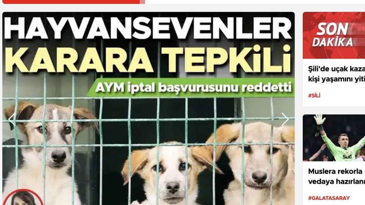 Hürriyet gazetesinden CHP ağzı: Haberde köpekler var parçalanan çocuklar yok!