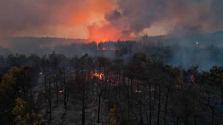 İzmir Buca ve Aliağa’da orman yangınlarıyla mücadele sürüyor