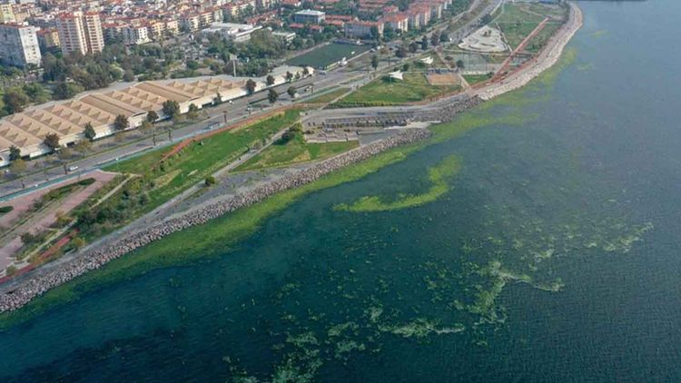 İzmir Körfezi’nde kirlilik giderek çoğalıyor