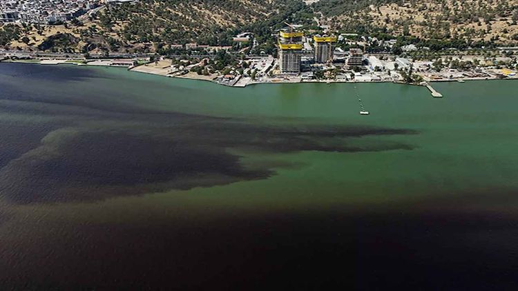 İzmir Körfezi alarm veriyor: CHP’li belediyenin ihmali kirliliği derinleştiriyor