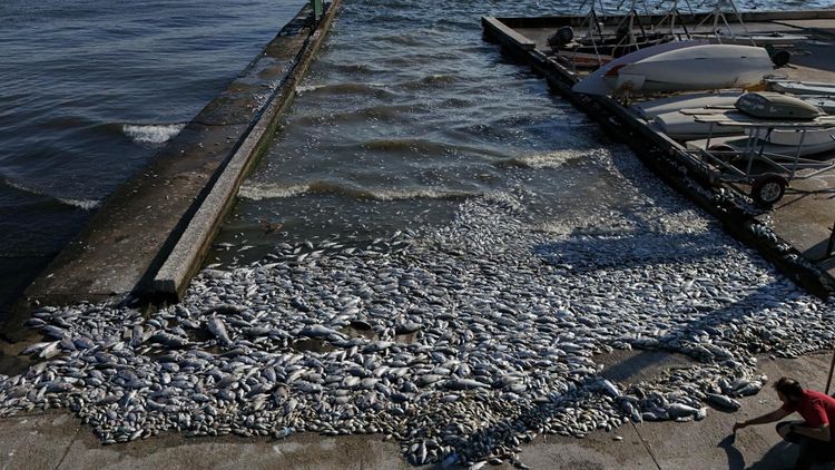 İzmir Büyükşehir Belediyesi'ne 1,8 milyon lira ceza