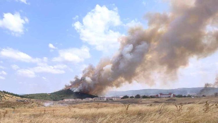 Edirne Keşan'da yangın: Alevler tarlaya sıçradı, müdahale sürüyor