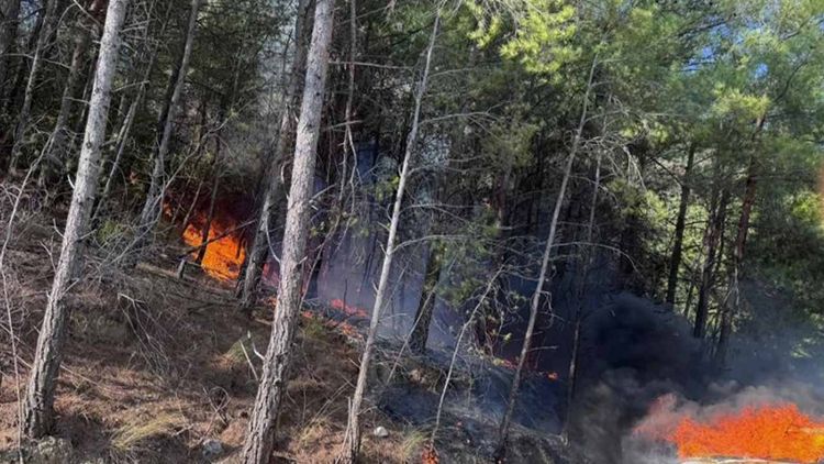 Muğla’nın Yatağan ilçesinde orman yangını