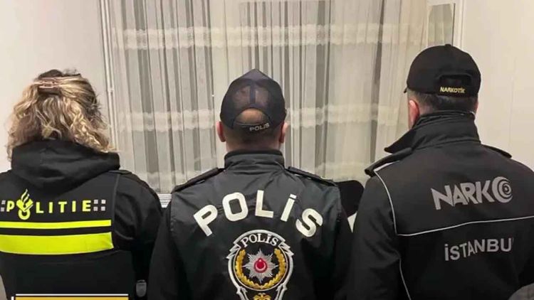 Uluslararası suç örgütlerine yönelik 