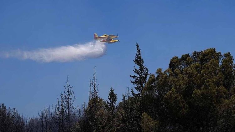 Orman yangınlarıyla ilgili soruşturmalarda 17 şüpheli gözaltına alındı