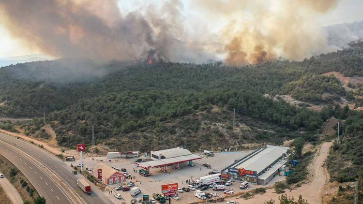 61 orman yangınıyla ilgili 4 kişi tutuklandı
