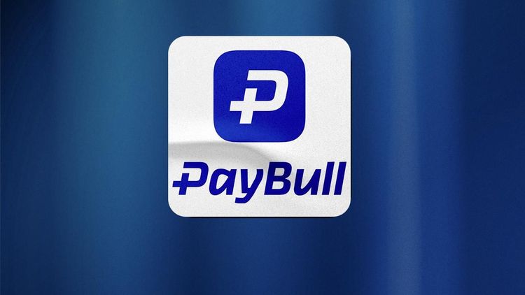 Paybull'a soruşturması: Şirket varlıklarına el konuldu, 25 gözaltı