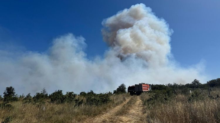 İzmir ve İstanbul'daki yangınlara müdahale sürüyor