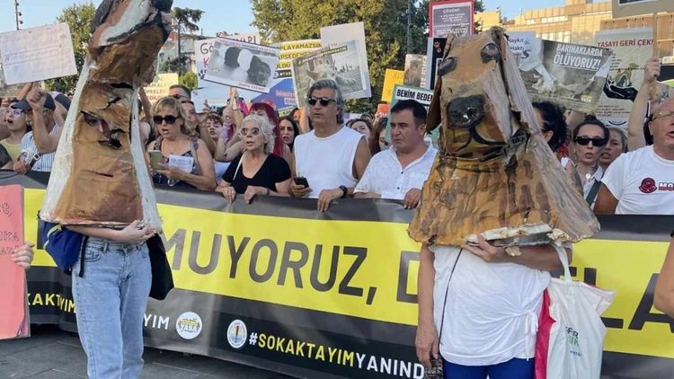 İsmail Kılıçarslan: Köpek lobisi var insan lobisi yok