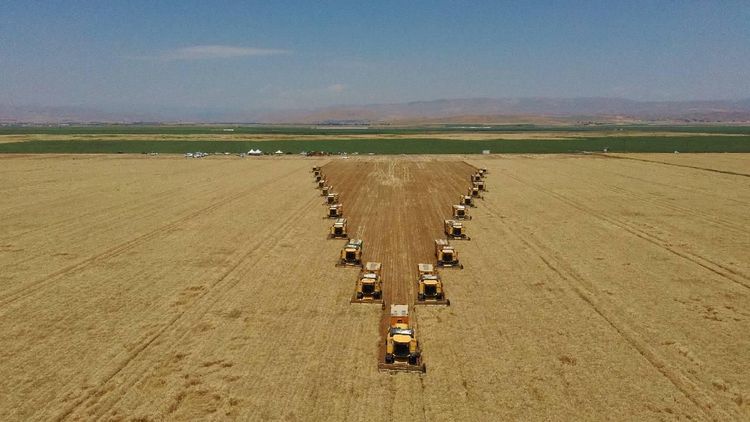 Girişimcilere ocak ayında 114,4 milyon lira hibe desteği sağlandı