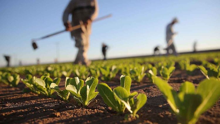 7 bin 160 projeye 10,2 milyar liralık hibe verilecek
