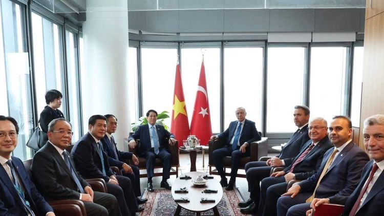 Başkan Erdoğan Vietnam Devlet Başkanı Luong Cuong ile Görüştü