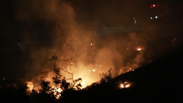 İzmir-Aliağa'daki orman yangını kontrol altına alındı