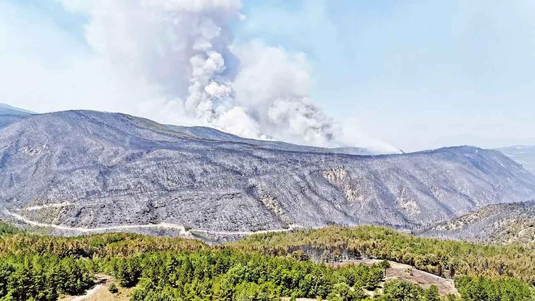 Cumhurbaşkanı Erdoğan: Yeşil Vatan Seferberliği başlatıyoruz