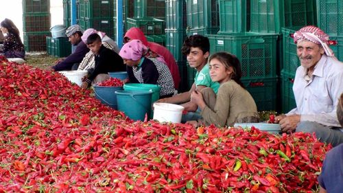 Türkiye'nin duruşu bozulmamalı