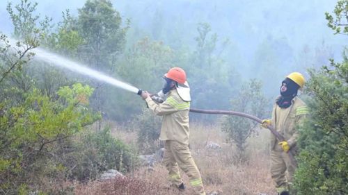 Antalya'nın Akseki ilçesinde çıkan orman yangınına havadan ve karadan müdahale sürüyor