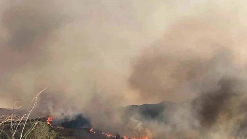 İzmir Urla ve Aliağa'da orman yangınları