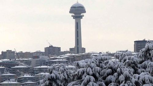 Ankara’da sıcaklık eksi 11 dereceye düştü, Kuğulu Park’taki havuz buz tuttu